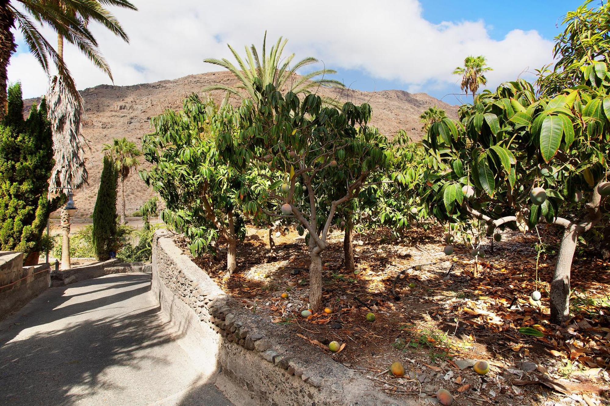 Mogán El Granero Paraiso Del Molinero מראה חיצוני תמונה